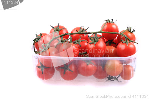 Image of cherry tomatoes isolated
