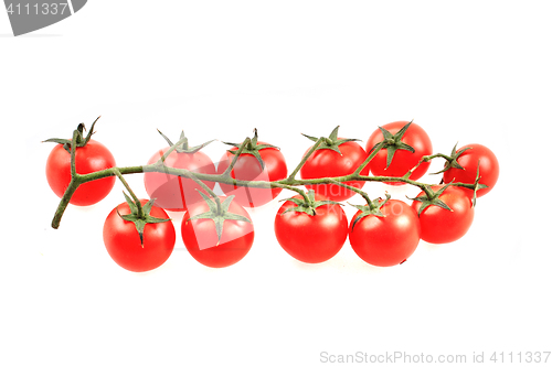 Image of cherry tomatoes isolated