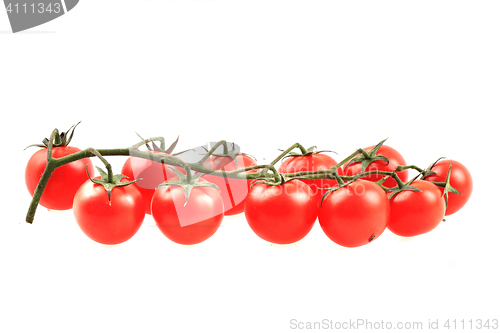 Image of cherry tomatoes isolated