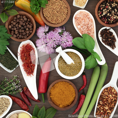 Image of Fresh and Dried Herb and Spice Collection