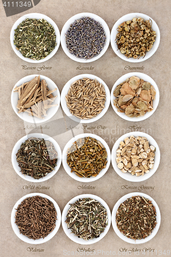 Image of Calming and Sleeping Herb Selection 