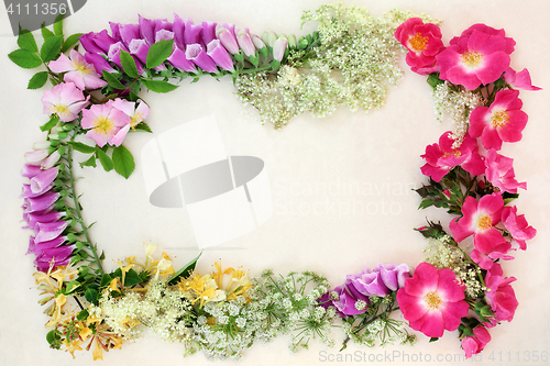 Image of Wildflower Background Border