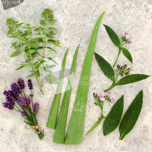 Image of Fresh Herbs for Skin Care