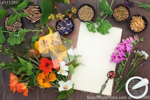 Image of Medicinal Herb and Flower Selection