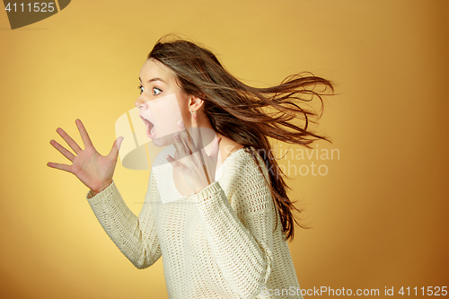 Image of Portrait of young woman with shocked facial expression