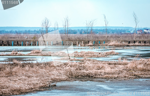 Image of Gulls At Frozen Water In The Field