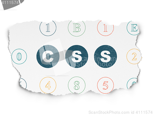 Image of Software concept: Css on Torn Paper background