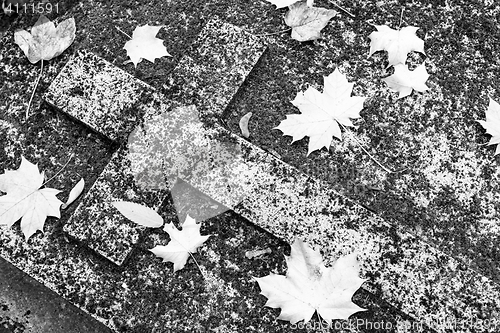 Image of Christian grave in moss and autumn leaves.