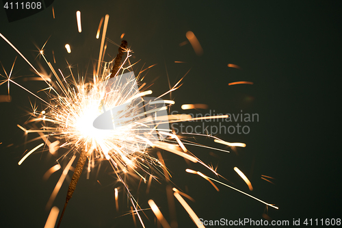 Image of Christmas sparkler on black background