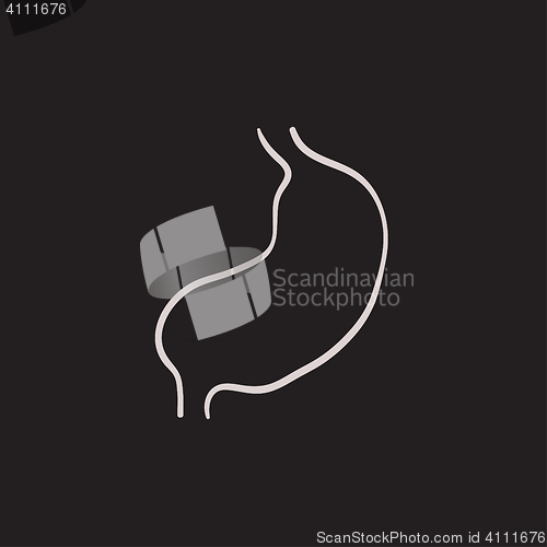 Image of Stomach sketch icon.