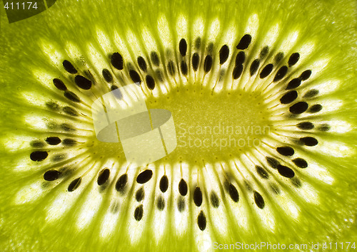 Image of kiwi