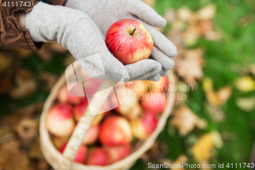 Image of woman with basket of apples at autumn garden