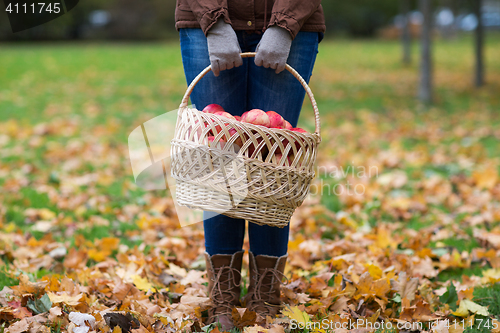 Image of woman with basket of apples at autumn garden