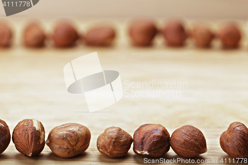 Image of Hazelnuts in opposite rows