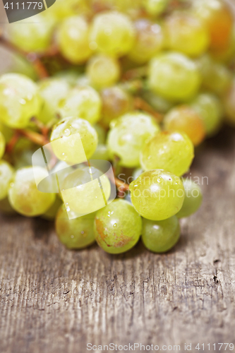 Image of Bunch of grapes