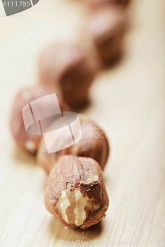 Image of Curved hazelnut row