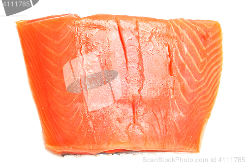 Image of Salmon fillet on white