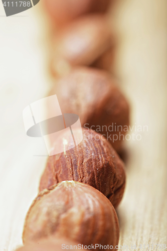 Image of Hazelnuts in a row