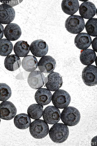 Image of Blueberries frozen in ice above view