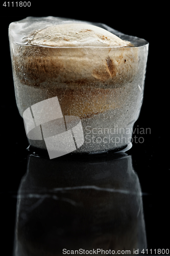 Image of Mushroom in ice with reflection