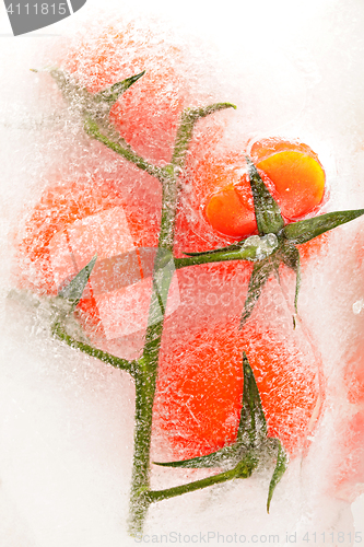 Image of Tomatoes in ice