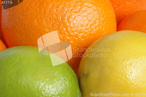 Image of Fruits