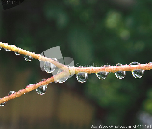 Image of water drops
