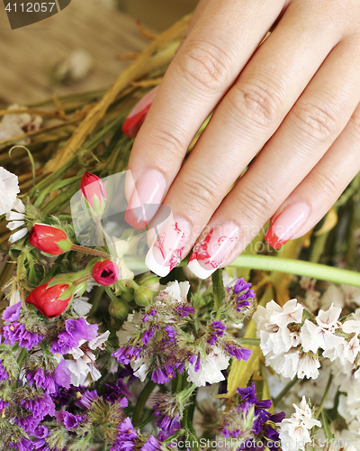 Image of Beautifully manicured fingernails