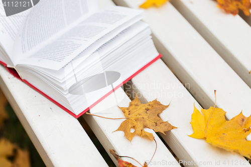 Image of open book and autumn leaves on park bench