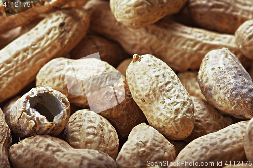 Image of Peanuts in shells