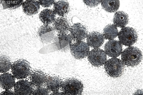 Image of Blueberries in ice