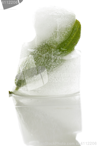 Image of Cucumber in ice cube