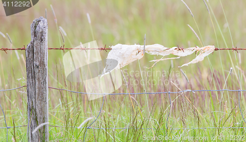 Image of Unpleasant barbed wire with rags