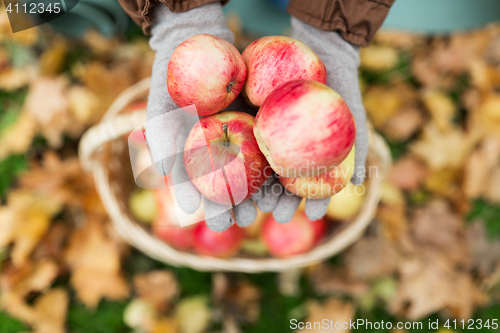 Image of woman with basket of apples at autumn garden