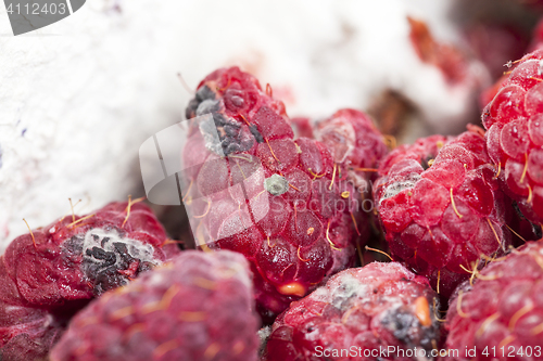 Image of mold on the raspberries