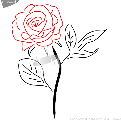 Image of Red Rose isolated on white, illustration