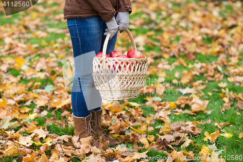 Image of woman with basket of apples at autumn garden