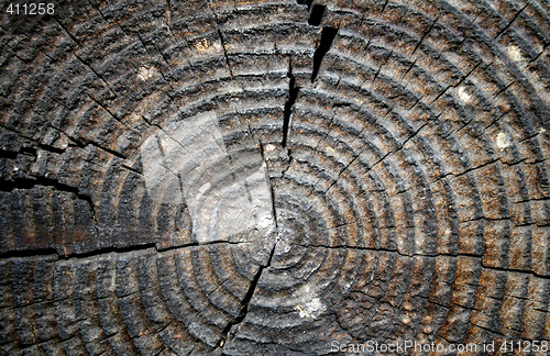 Image of wood texture