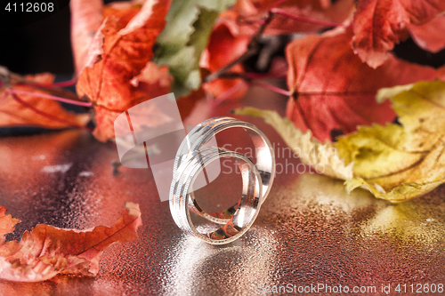 Image of Rings And Autumn Leaves