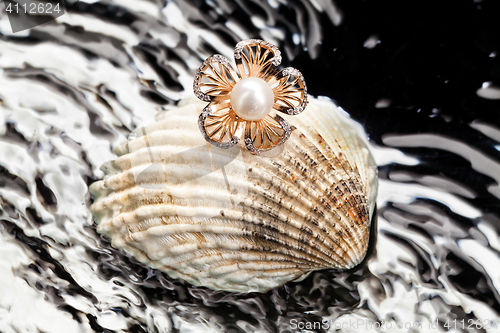 Image of Ring And Shell