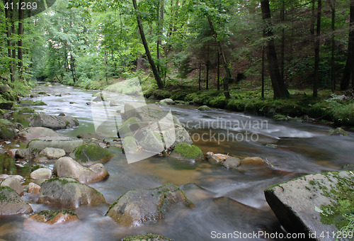 Image of czech forest