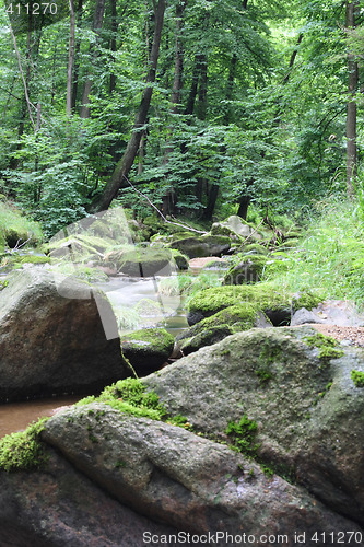 Image of czech forest