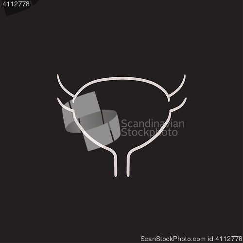 Image of Urinary bladder sketch icon.