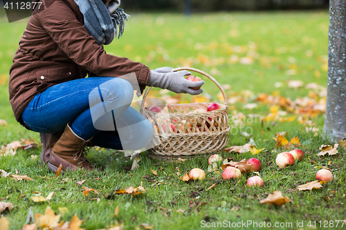 Image of woman with basket picking apples at autumn garden