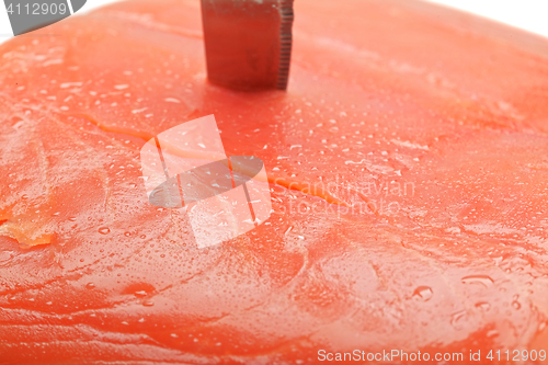 Image of Knife in fish closeup