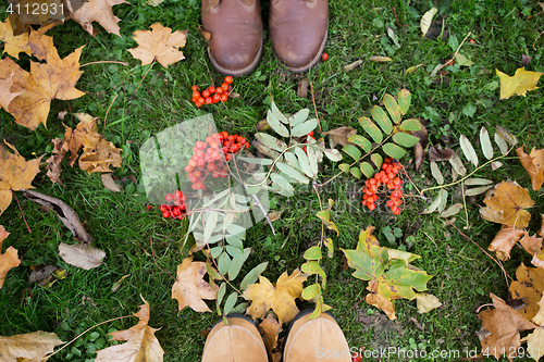 Image of feet in boots with rowanberries and autumn leaves