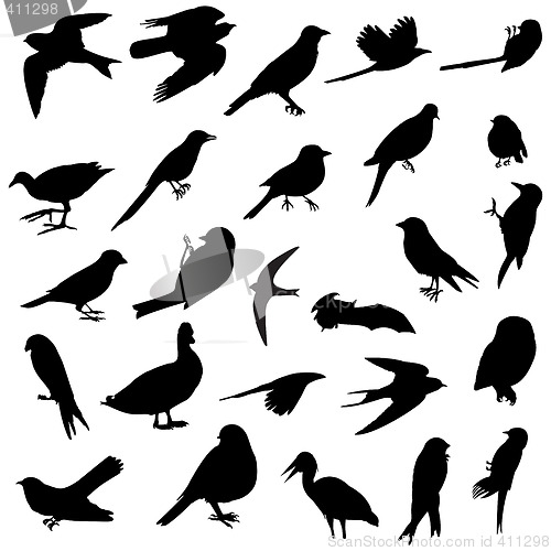Image of Birds silhouettes
