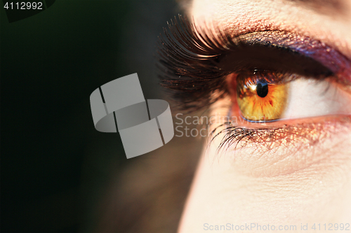 Image of Brown makeup