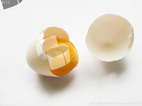 Image of Egg