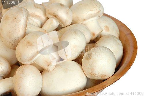 Image of Mushrooms